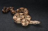 2023 C. B. Colombian Red Tail Boa (#3415-F)