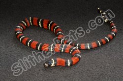 2023 C. B. Black Milk Snake (#9503-M)