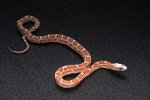 2022 C. B. Scaleless Texas Rat Snake (#2408-M)