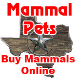 Mammal Pets
