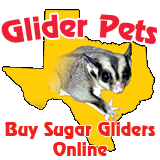 Glider Pets