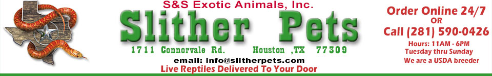 SlitherPets : Live animals delivered to your door