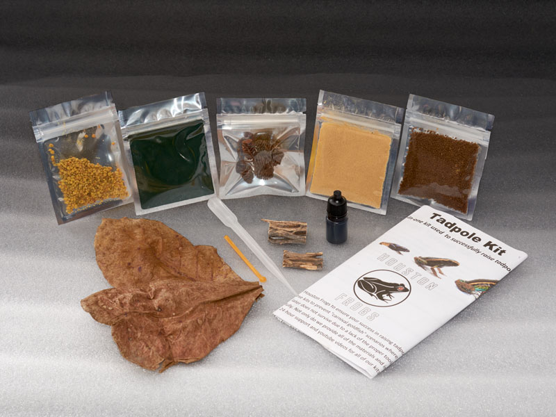 Tadpole Kit Tadpole Kit [] - $20.00 : SlitherPets, ..Live Animals Delivered  To Your Door!