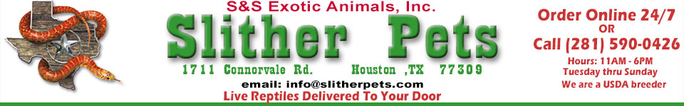 Pets delivered best sale to your door